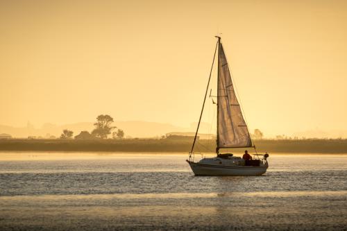 Un bon matin en Seudre