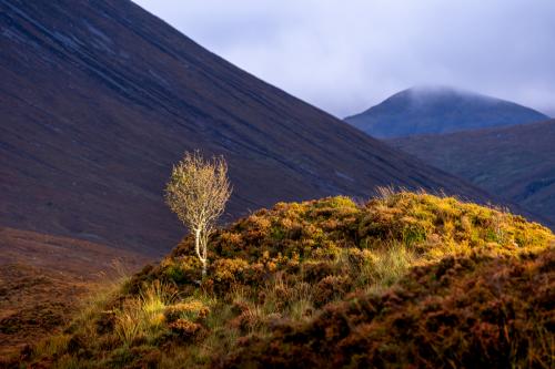 Île de Skye, Ecosse